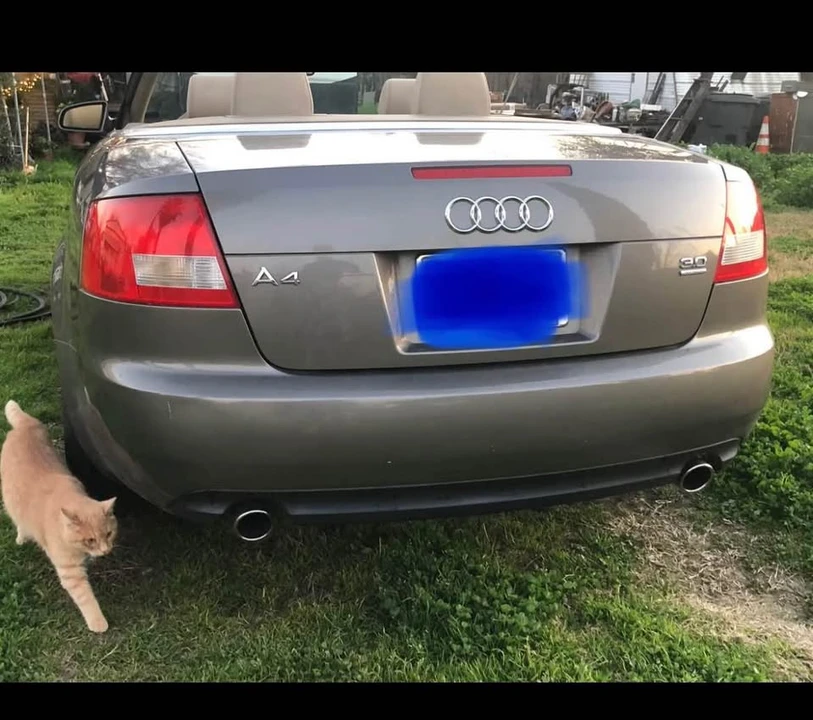 2005 Audi B6 A4 - Image 4 of 9