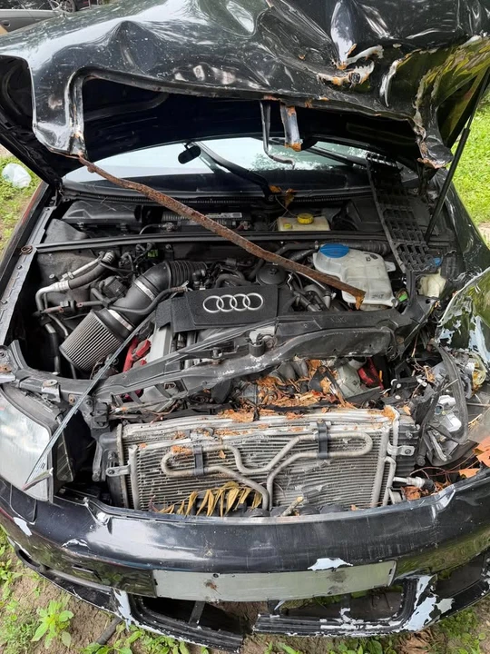 2005 Audi B6 S4 - Image 4 of 15