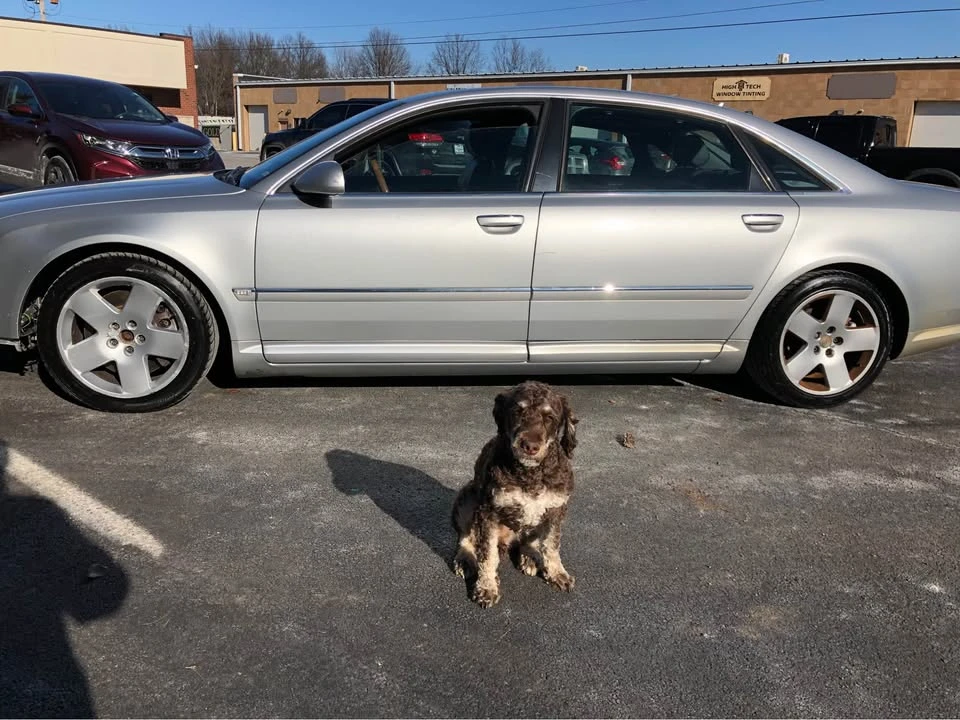 2005 Audi D3 A8 - Image 8 of 10