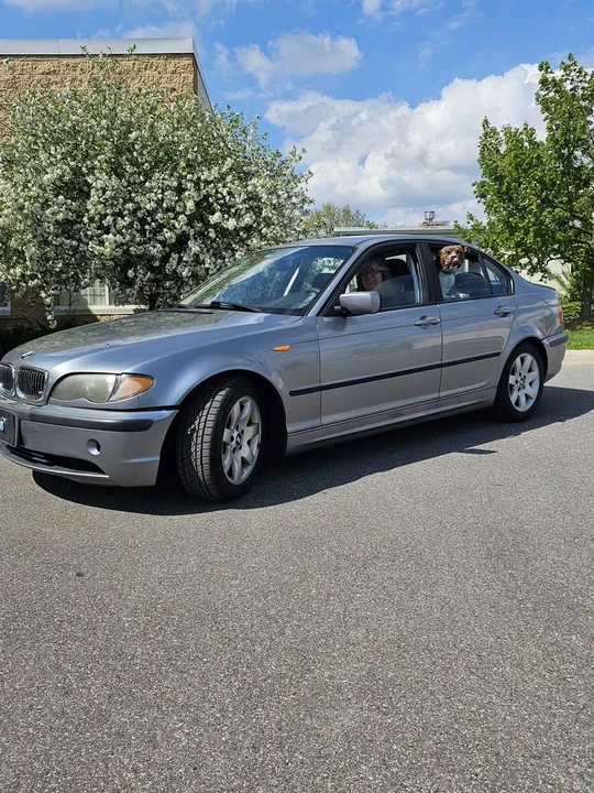2005 BMW E46 3 Series - Image 4 of 5
