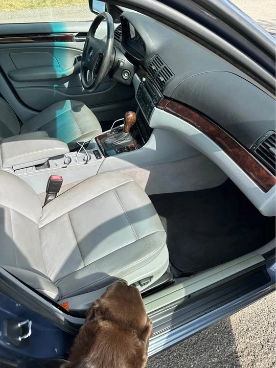 2005 BMW E46 3 Series - Image 6 of 11