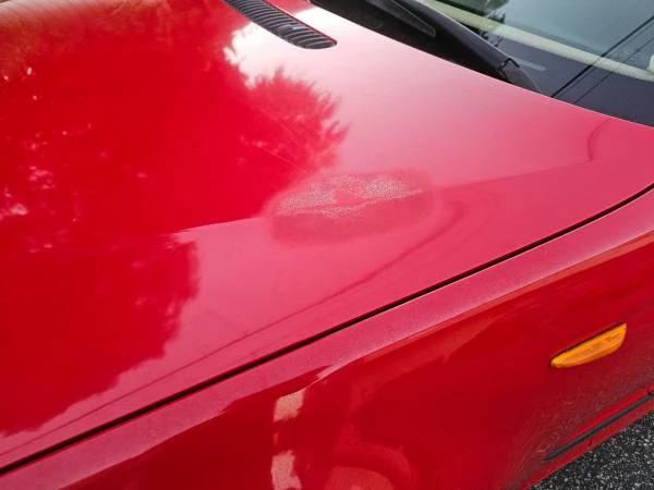 2005 BMW E46 3 Series - Image 14 of 21