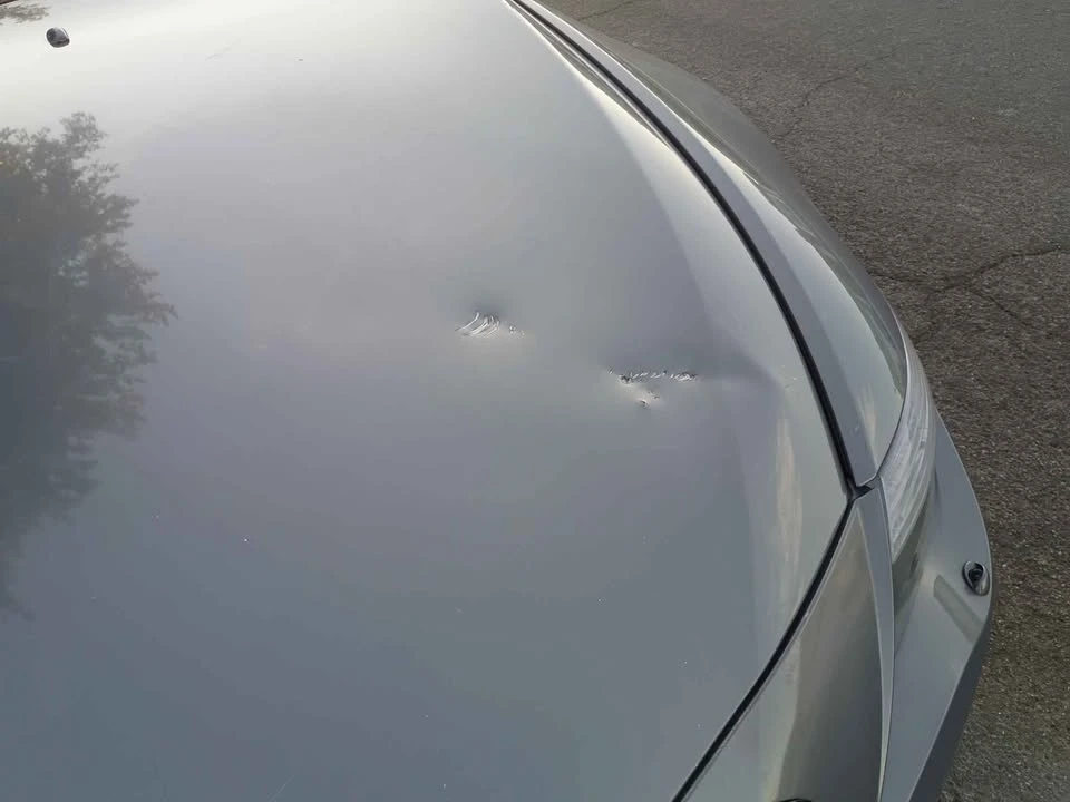 2005 BMW E63/E64 645Ci & 650i - Image 8 of 13