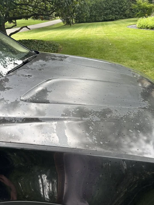 2005 BMW E83 X3 - Image 11 of 16