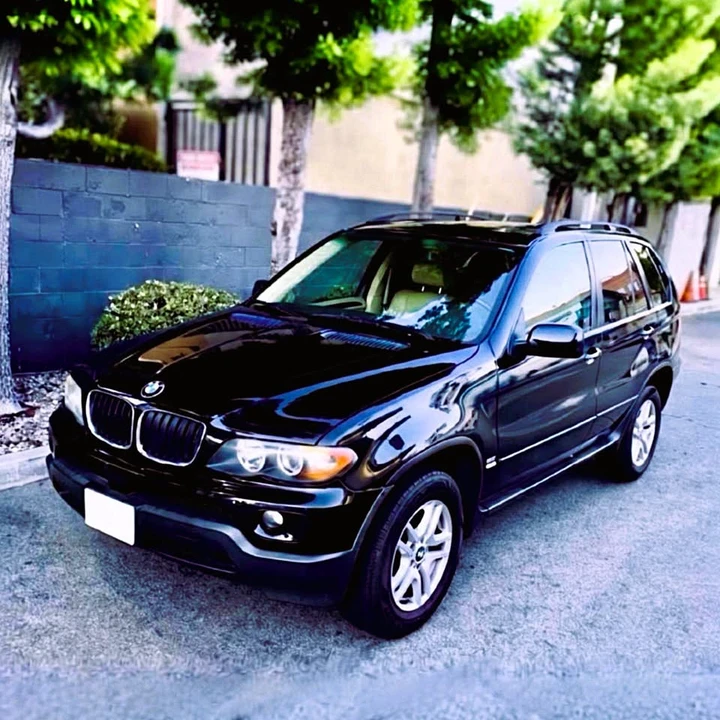 2005 BMW E53 X5 - Image 2 of 9