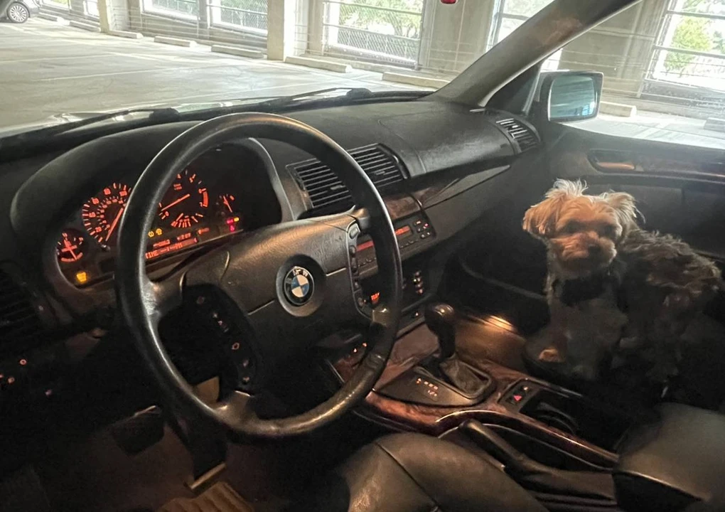 2005 BMW E53 X5 - Image 10 of 10