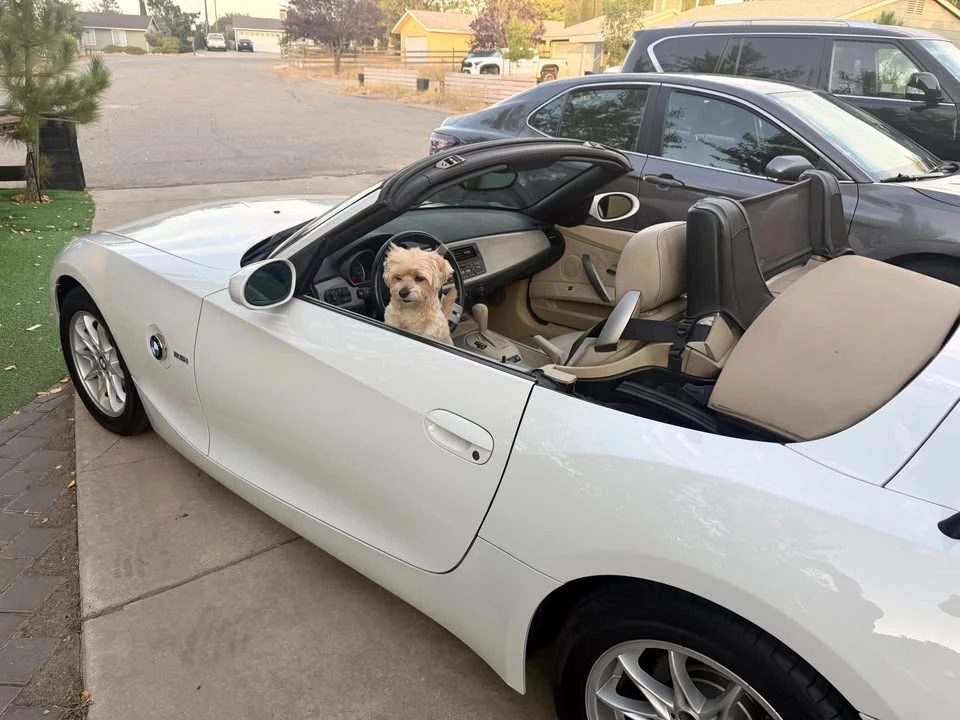 2005 BMW E85 Z4 Roadster - Image 3 of 4