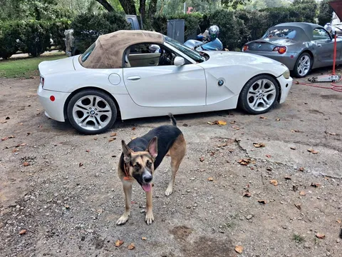 2005 BMW Z4 2.5i Roadster 2D