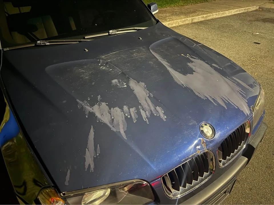 2005 BMW E83 X3 - Image 4 of 11