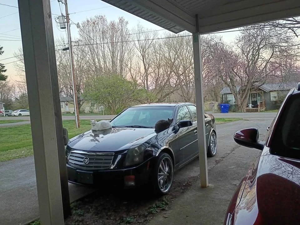 2005 Cadillac CTS 1st Gen - Image 2 of 12
