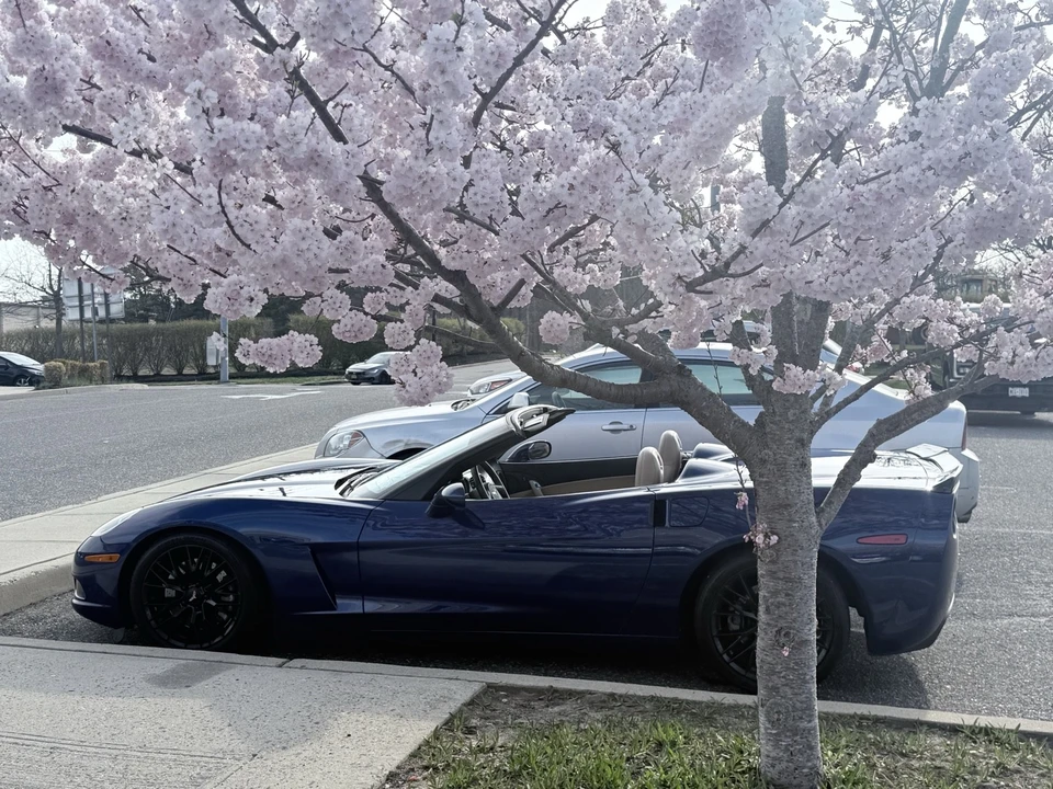 2005 Chevrolet Corvette C6 - Image 3 of 11