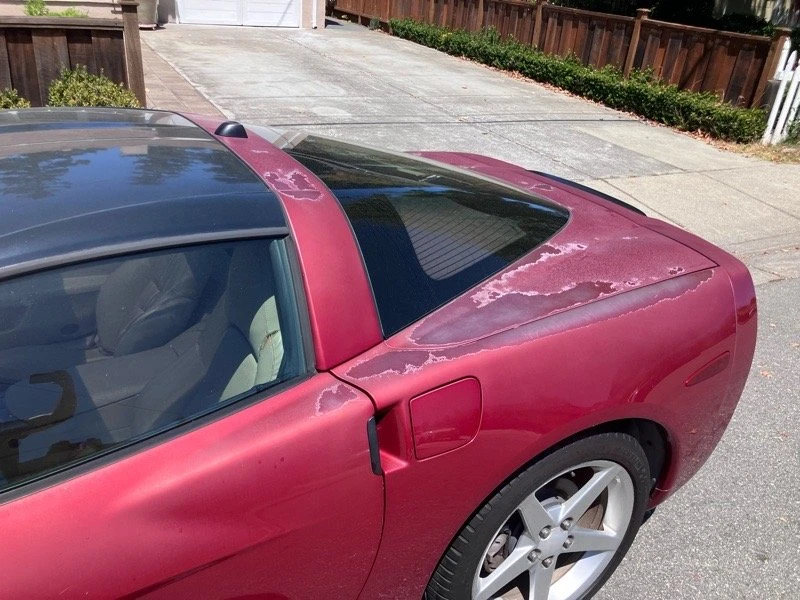 2005 Chevrolet Corvette C6 - Image 15 of 16