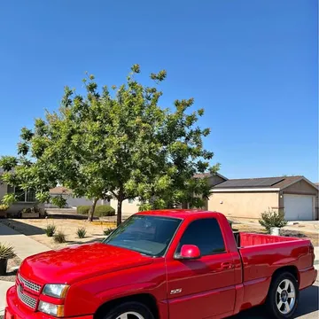 2005 Chevrolet Silverado