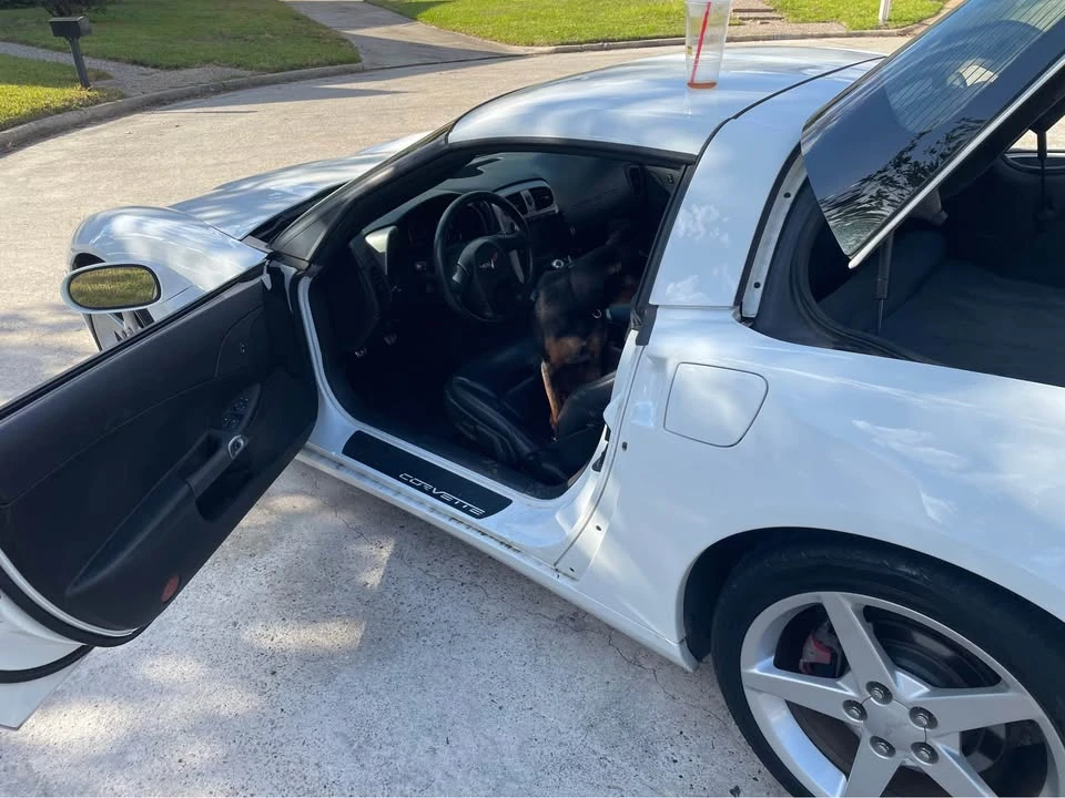 2005 Chevrolet Corvette C6 - Image 10 of 16