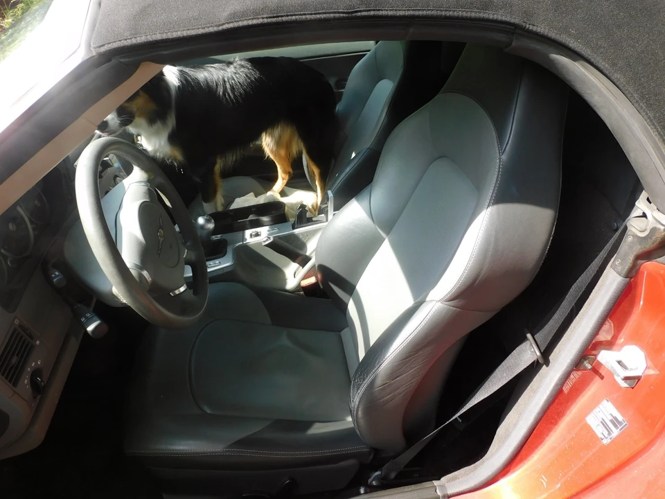 2005 Chrysler Crossfire - Image 8 of 10