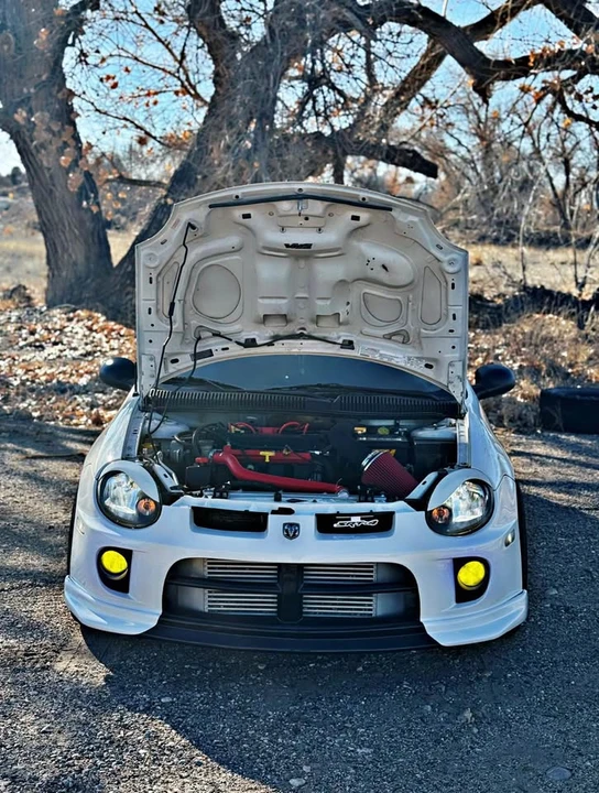 2005 Dodge Neon SRT-4 - Image 2 of 20