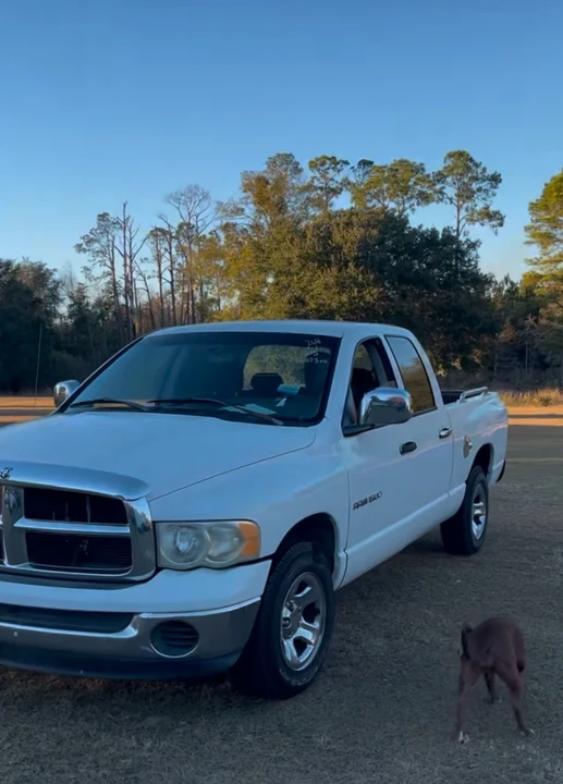 2005 Dodge Ram 3rd Gen - Image 9 of 17