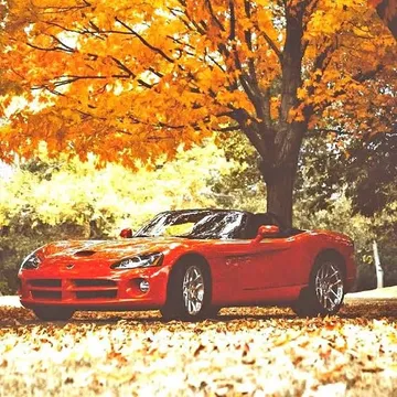 2005 Dodge Viper RT/10 Roadster