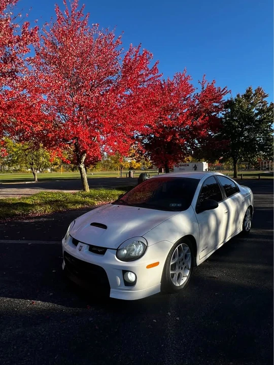 2005 Dodge Neon SRT-4 - Image 6 of 7