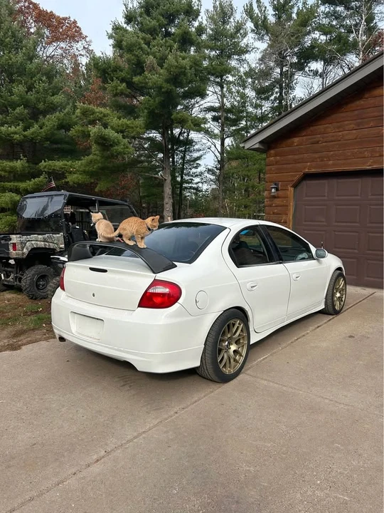2005 Dodge Neon SRT-4 - Image 17 of 19