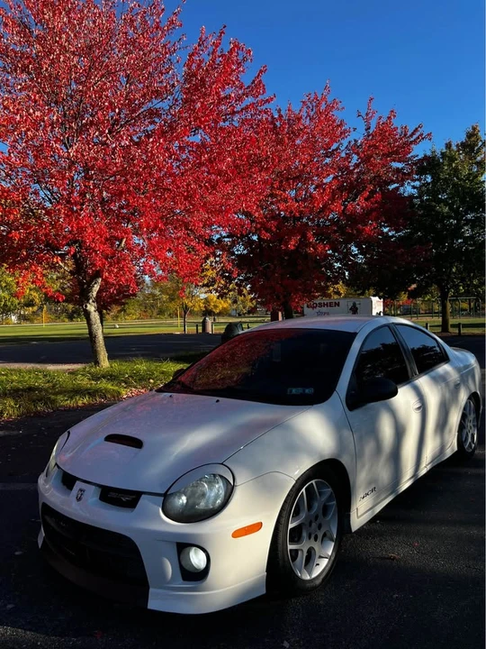 2005 Dodge Neon SRT-4 - Image 5 of 7