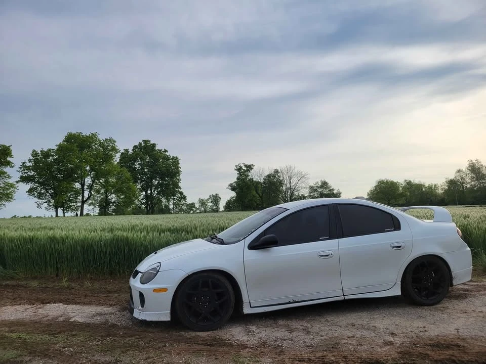 2005 Dodge Neon SRT-4 - Image 5 of 6