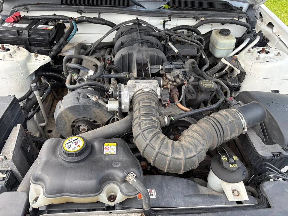 2005 Ford S197 Mustang - Image 15 of 15