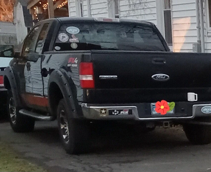 2005 Ford F-150 11th Gen - Image 2 of 11
