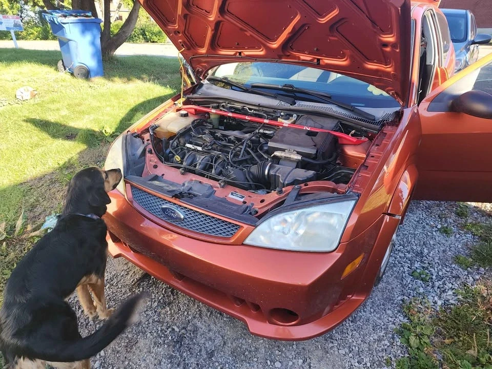 2005 Ford Focus 2nd Gen - Image 7 of 8