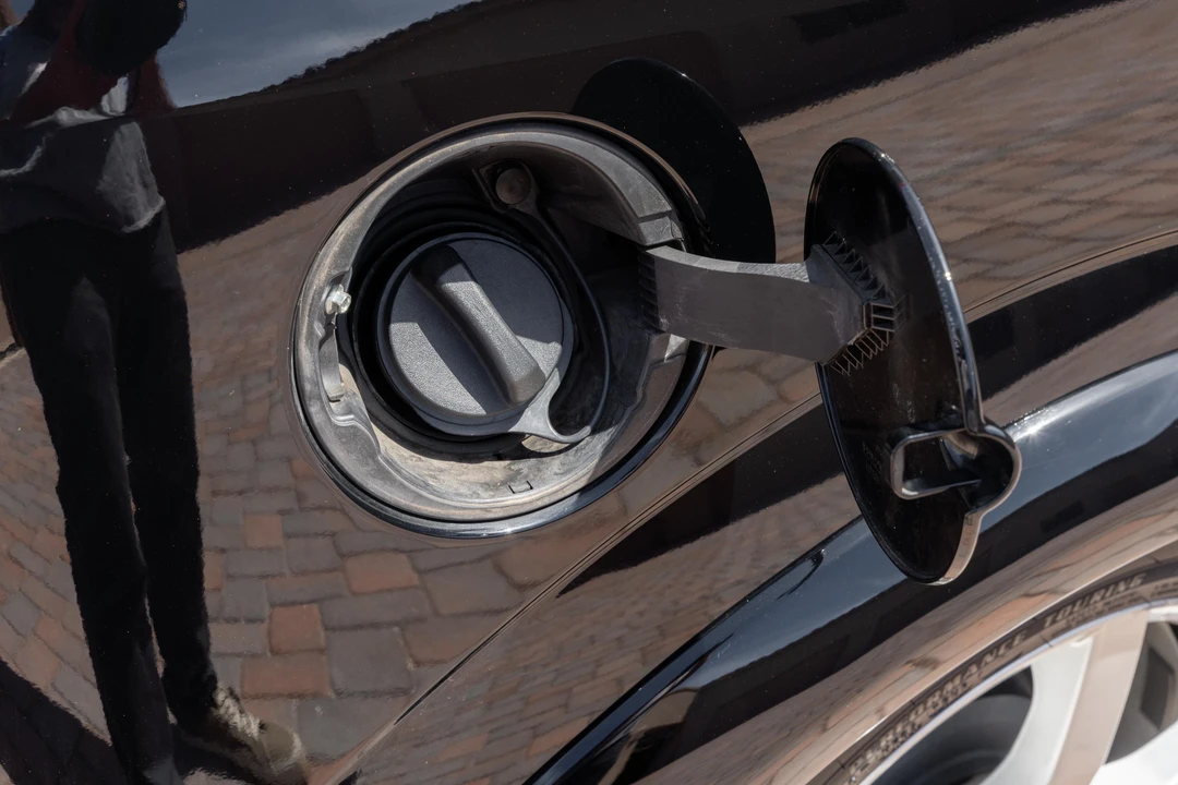 2005 Ford Focus 2nd Gen - Image 31 of 31