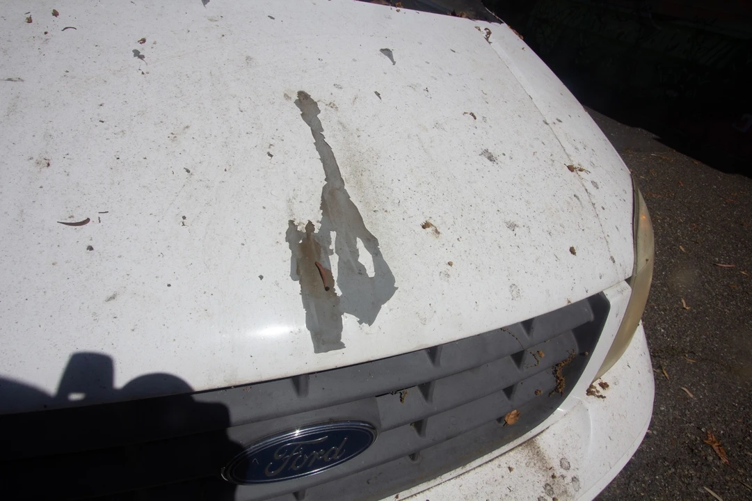 2005 Ford - Image 17 of 18