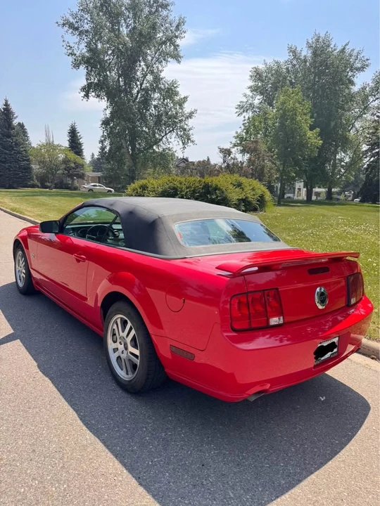 2005 Ford S197 Mustang - Image 6 of 9