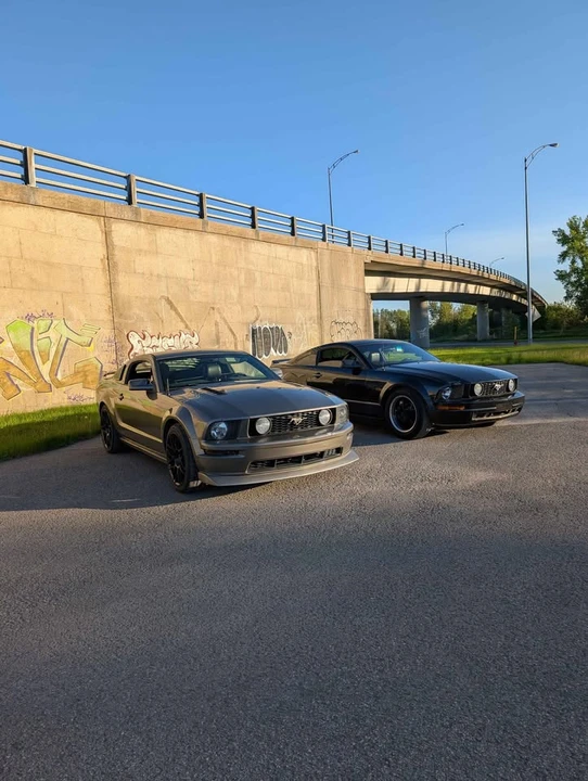 2005 Ford S197 Mustang - Image 16 of 18