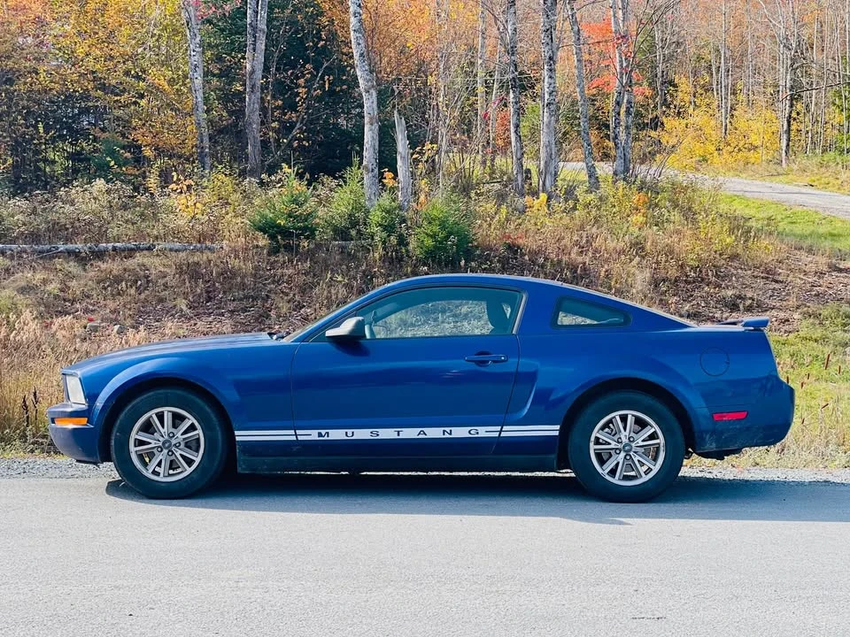 2005 Ford S197 Mustang - Image 3 of 6