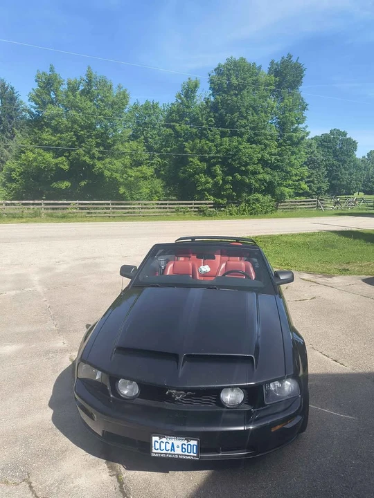 2005 Ford S197 Mustang - Image 12 of 20