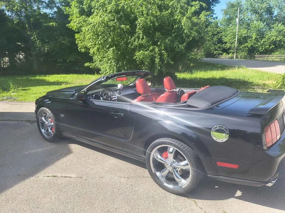 2005 Ford S197 Mustang - Image 14 of 20