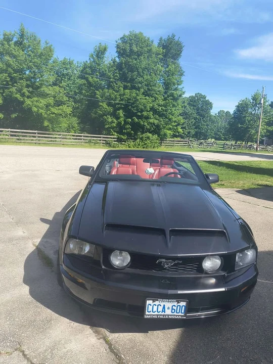 2005 Ford S197 Mustang - Image 11 of 20