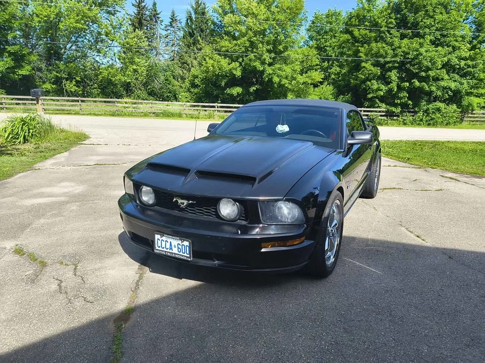 2005 Ford S197 Mustang - Image 2 of 20