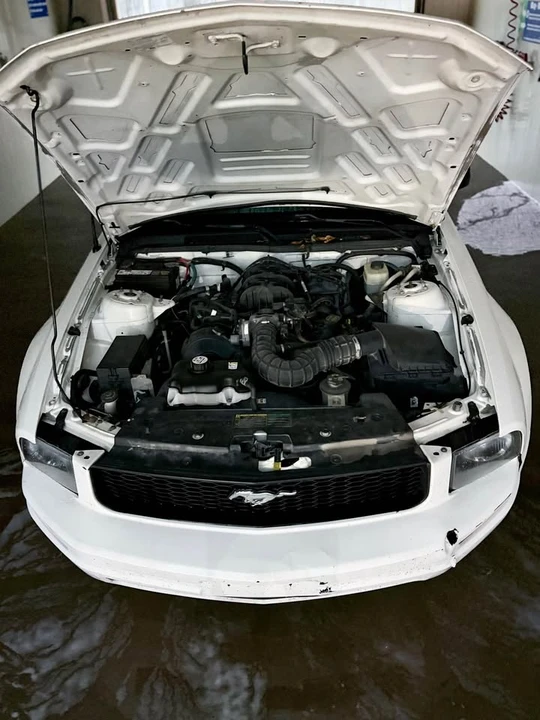 2005 Ford S197 Mustang - Image 10 of 20