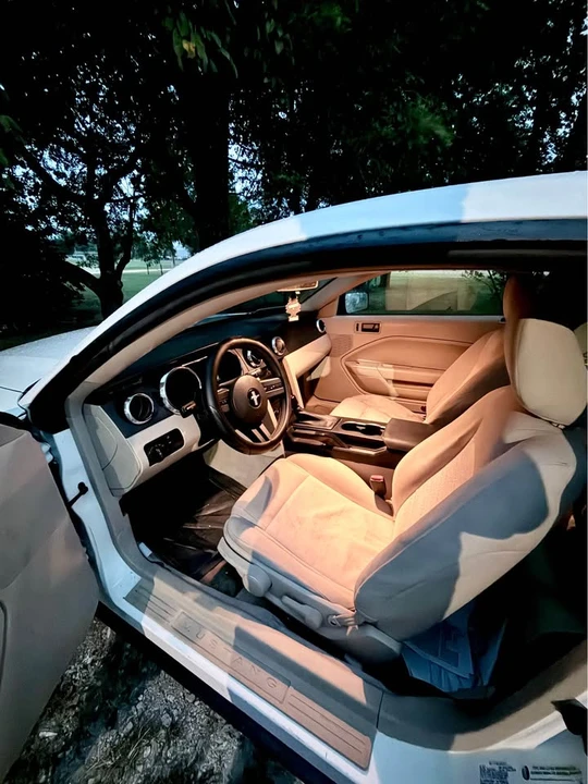 2005 Ford S197 Mustang - Image 15 of 20