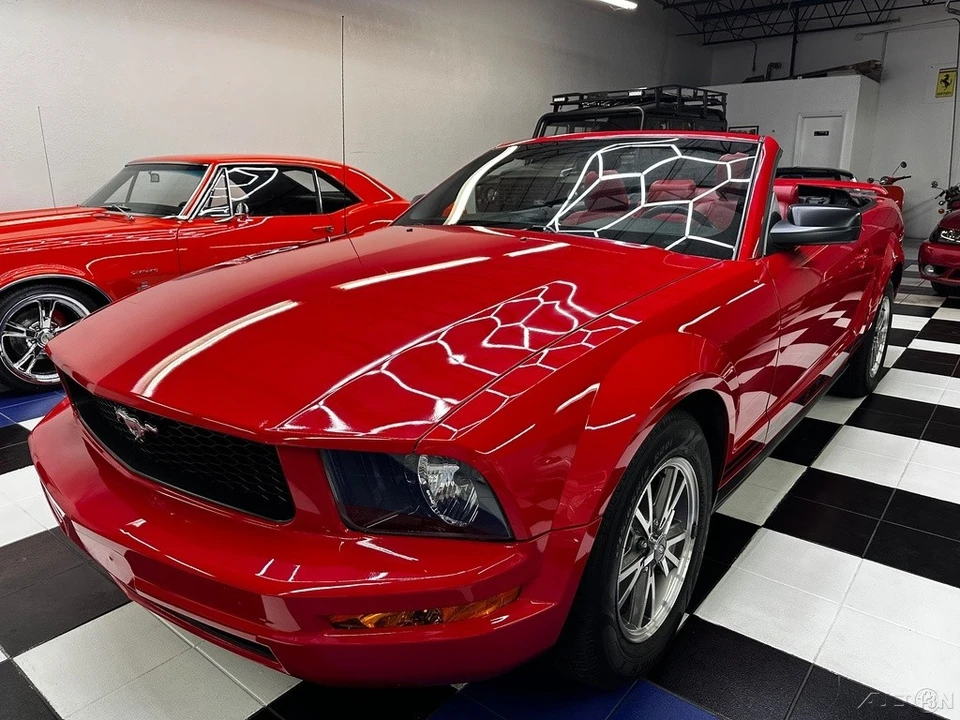 2005 Ford S197 Mustang - Image 8 of 24