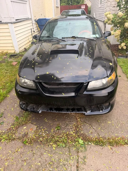 2005 Ford S197 Mustang - Image 3 of 3