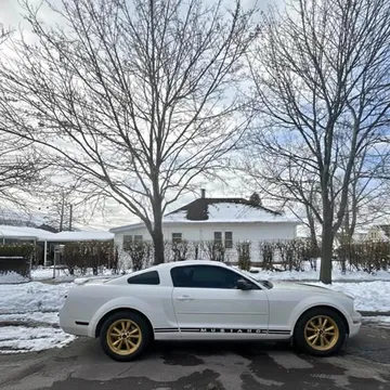 2005 Ford Mustang · BULLITT Coupe 2D