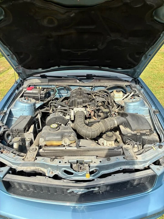 2005 Ford S197 Mustang - Image 11 of 11