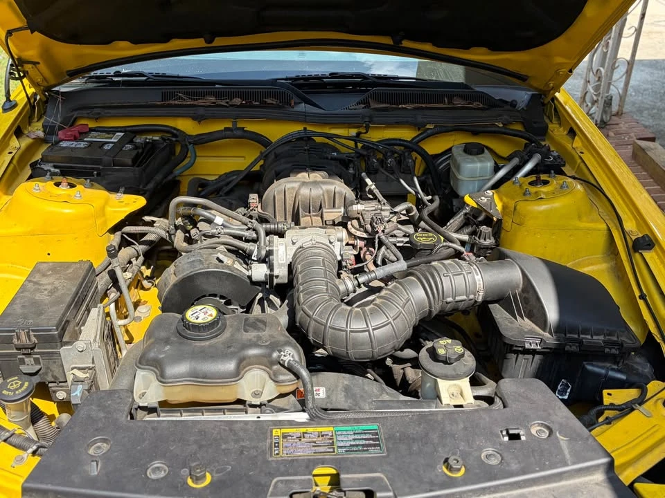 2005 Ford S197 Mustang - Image 4 of 11