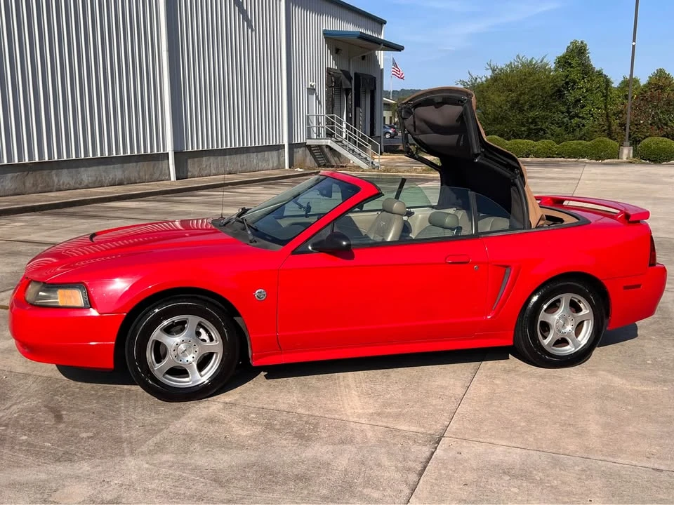 2005 Ford S197 Mustang - Image 4 of 14