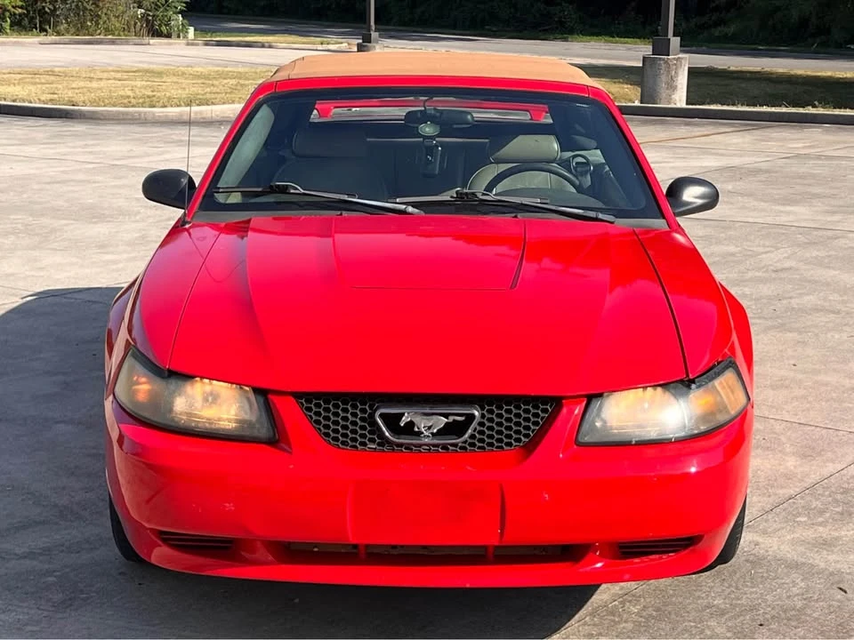 2005 Ford S197 Mustang - Image 2 of 14