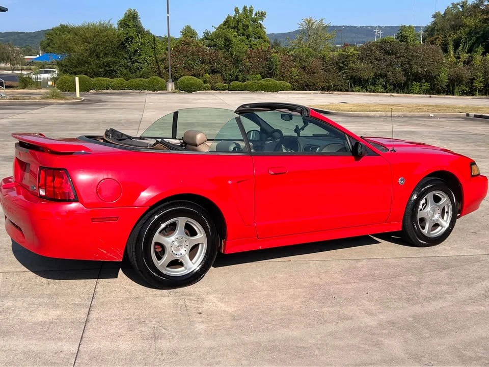 2005 Ford S197 Mustang - Image 12 of 14