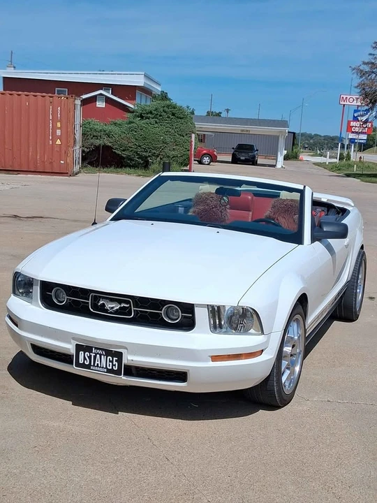 2005 Ford S197 Mustang - Image 2 of 3