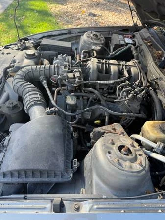 2005 Ford S197 Mustang - Image 15 of 16